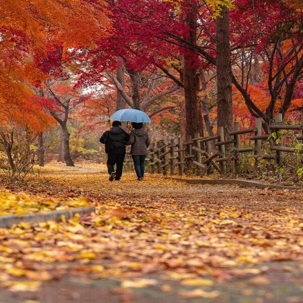 가을 단풍 여행지 5곳 추천!