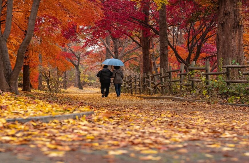 가을 단풍 여행지 5곳 추천!