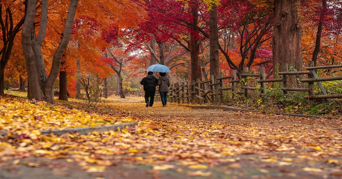 가을 단풍 여행지 5곳 추천!