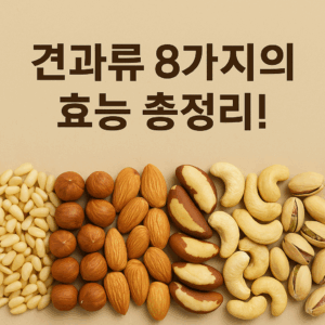 견과류 8가지의 효능