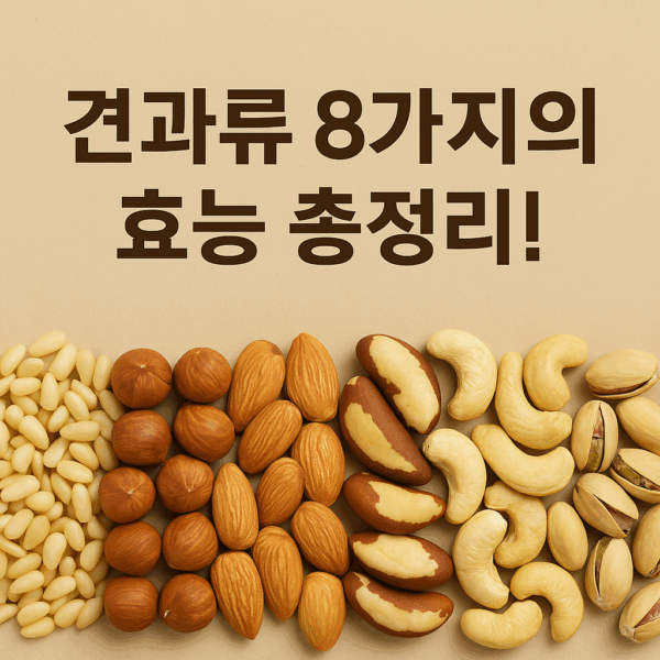 견과류 8가지의 효능
