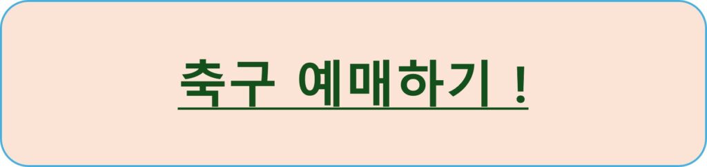 한국VS브라질 축구 예매하기 1